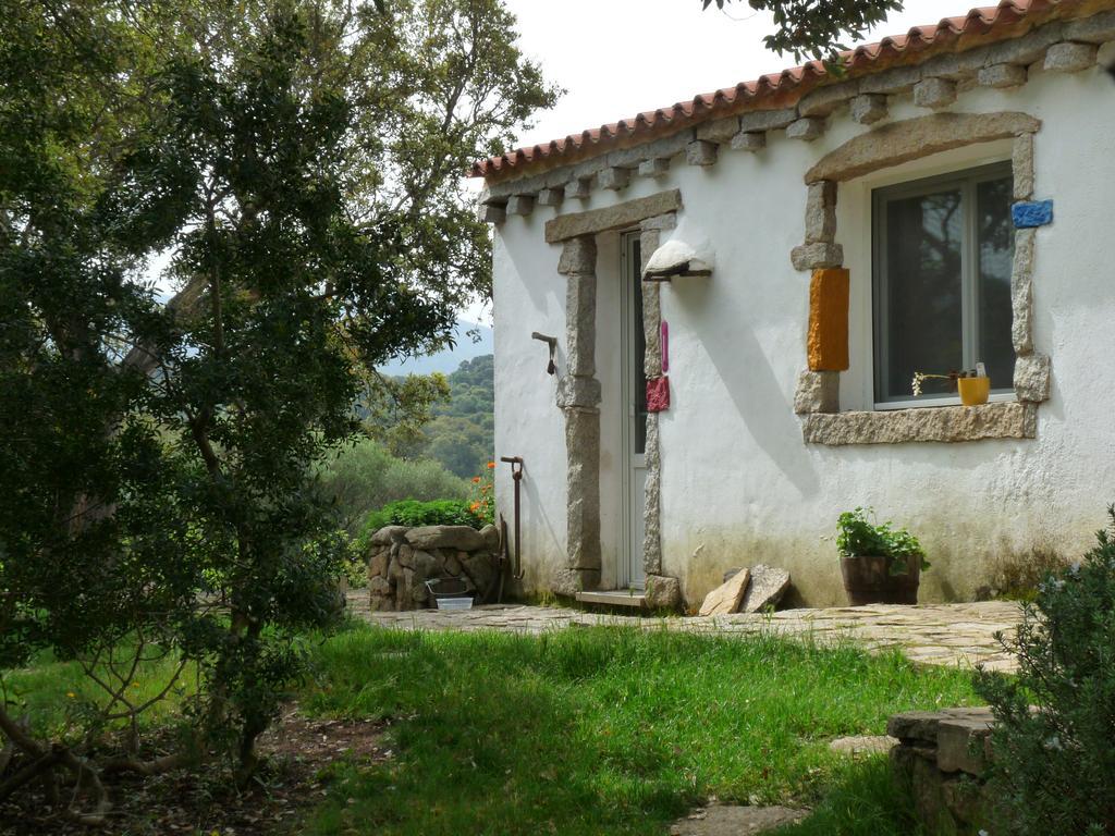 La Scala Guesthouse Berchiddeddu Extérieur photo