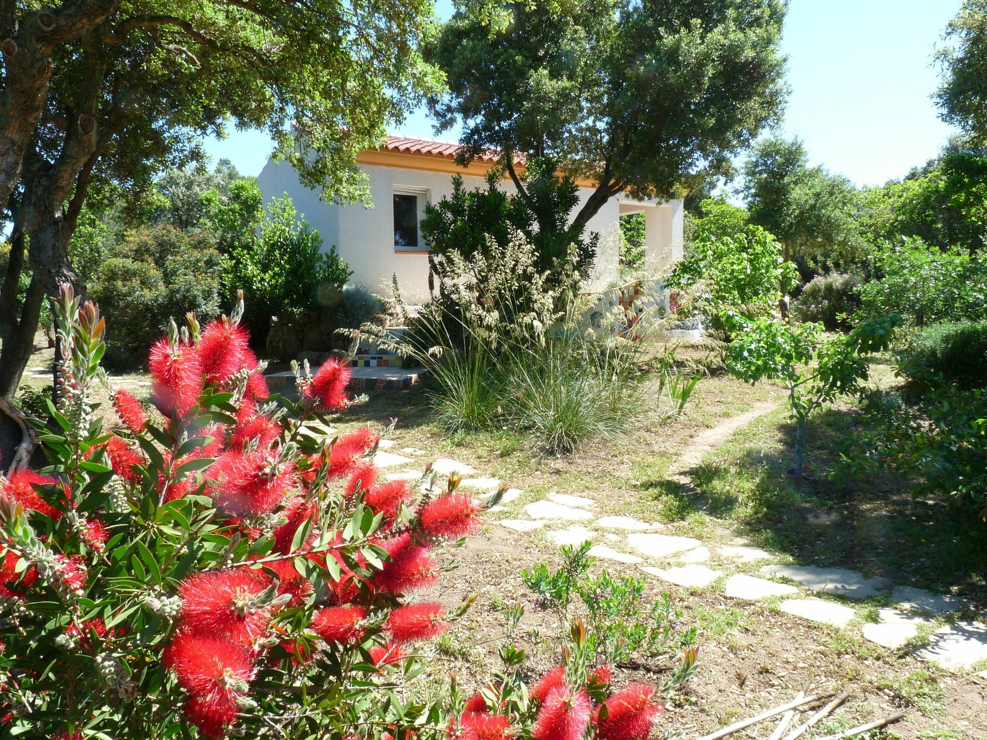 La Scala Guesthouse Berchiddeddu Extérieur photo